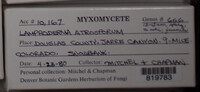 Image Associated With the Occurence